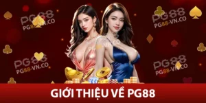 PG88 VN 🎰【PG 88】- Sòng Bạc Trực Tuyến #1 Việt Nam 28 Giới thiệu PG88